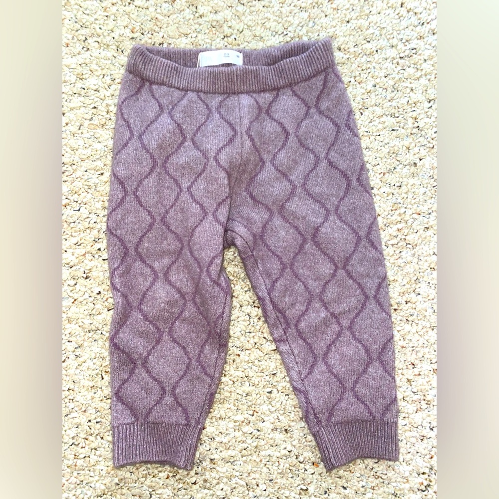 Zara New w/o tags children’s pants size 2-3 years. 98 cm color purple.